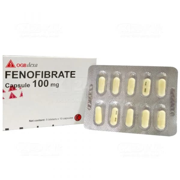 FENOFIBRATE 100 MG DEXA