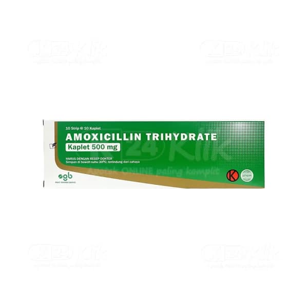 AMOXCILLIN 500 MG TAB BERNO