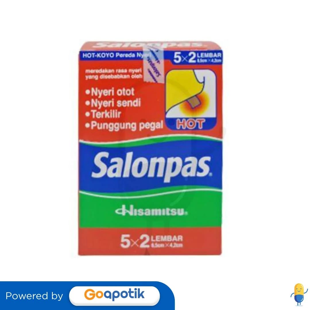 SALONPAS @ 5 X 2 LEMBAR (6.5 x 4.2)